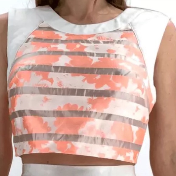 BEBE sheer Floral Crop Top- White stripe florall Eras Tour top - concert top xxs - Picture 4 of 4